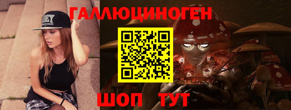Псилоцибиновые грибы прущие грибы  Вход с VPN  Сергиев Посад  Псилоцибиновые грибы Psilocybine cubensis 